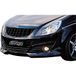 Embleemloze AutoStyle Grid zonder logo op maat | Compatibel met Opel Corsa D 2006-2010