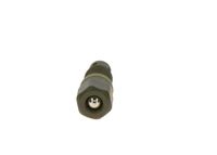 BOSCH Ventil, Einspritzanlage F01M100749