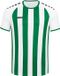 Jako Inter Shirt Korte Mouw Kinderen - Sportgroen / Wit | Maat: 128