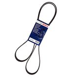 BOSCH Courroie striée 1987947957