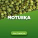 Houblon Pellets Motueka 1 kg