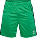 Hummel Hmlauthentic Pl Shorts 219970