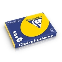 Clairefontaine Clairefontaine gekleurd papier goudgeel 80 grams A3 (500 vel)