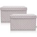 Lifeney Set van 2 opbergdozen voor kinderen (37 x 25 x 21 cm) I opbergmand voor kinderkamer en woonkamer I kinderopbergkist (lichtgrijs stippen)