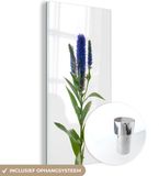 MuchoWow® Glasschilderij 60x120 cm - Acrylglas Schilderij - Paarse lange ereprijs op witte achtergrond - Foto op glas - Landelijk