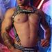 Breedwell Harnais Body Hybred Noir - Gris
