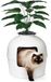 Bundle & Bliss Secret Kattenbak van - Verborgen kattenbakbehuizing, gepatenteerd ontwerp met geurbestrijding, inclusief kunstplant, koolstoffilter en echte stenen