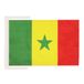 AZ FLAG Vlag Senegal 45x30 cm