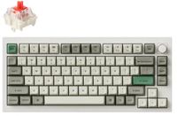 Keychron Q1 Max QMK/VIA gaming toetsenbord Red Switch wit