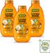 Garnier Loving Blends Shampoo Argan & Cameliaolie - Droog & Dof Haar - 300 ml - 3 Stuks