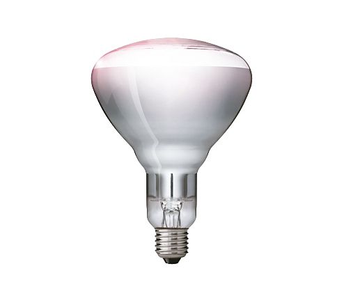 Philips 57523425 Infrarood Lamp 250 Watt