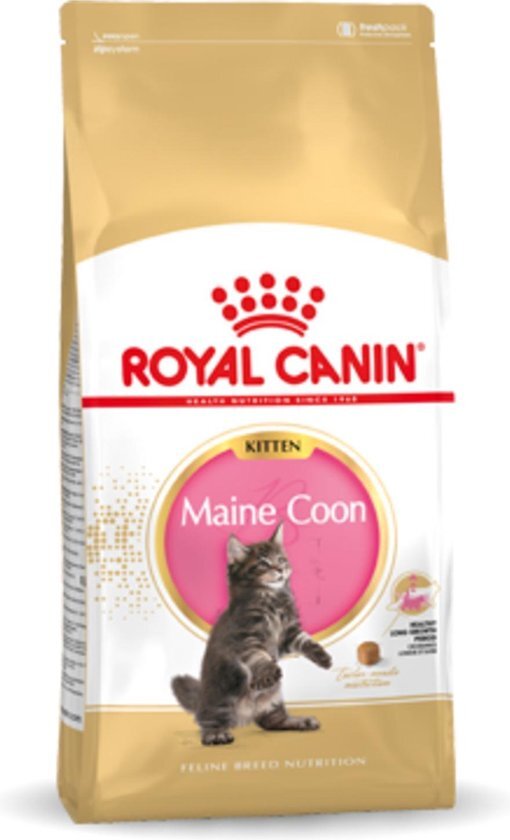 Royal Canin Breed Maine Coon Kitten