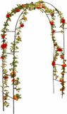 Kinzo Rozenboog - Plantenklimrek - Groen - 140x240 cm