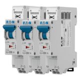 EATON 109131 PLGC4-C20/1N Modulaire schakelaar PH/N – wit – blauw – 1P + N / 20 A – curve C – directe aansluiting zonder schroeven – 3 vermogensschakelaars