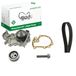 INA 530 0191 31 Waterpomp & Distributieriem Kit