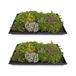 Green Boutiq boutiQ Green Sedum Mat - 10 Varieties - Winter Hardy - Low Maintenance - 50cm x 30cm