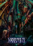 UNDERGROUND TOKYO: Low-Angle Reflections of the City