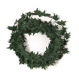 Rayher 5109213 Mini-klimopslinger, SB-Btl. 3 m, groen