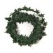 Rayher 5109213 Mini-klimopslinger, SB-Btl. 3 m, groen