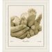 VERVACO Kruissteek Borduurpakket Geboorte Baby BABYVOETJES Handwerkpakket voor Wanddecoratie 22 x 23 cm