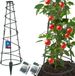 KOTARBAU 2 Pièces Support de plantes, Treillis pour plantes grimpantes, Treillis de plantes Ø 25cm