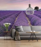 Komar vlies fotobehang PROVENCE - 300 x 250 cm