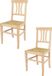 t m c s Tommychairs Artemisia - Eetkamerstoelen - Set van 2 - Naturel - Rotan & Hout