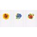 VERVACO Kruissteek Borduurkaart Kit ZOMERBLOEMEN SET VAN 3