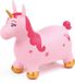 Ludi Jumper Eenhoorn Roos Karton PVC