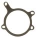 Gasket, Icecat Gasket, water pump