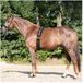 Kavalkade Anatomische band met imitatiebont, zwart, polyester, one size