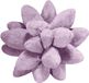 Unyqoos® coussins succulentes 3D