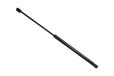 TarosTrade 229-0558-N-74980 gasveer voor de achterklep Forza 495N
