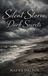 SILENT Libri GmbH Silent Storm, Dark Secrets
