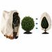 Famanu - Protection hivernale pour plantes - Protège les plantes en pot du froid - Intissé respirant - Blanc 1 pièce
