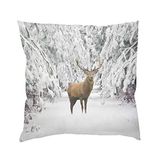 Home fashion Imposa 066937-9601 polyester, 40 x 40 cm, zwart/wit