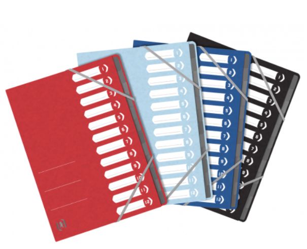 Oxford Cardboard Card A4 Assorted Colours 4 pcs