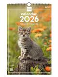 Finocam Wandkalender 2026, 25 x 40 cm, maandoverzicht januari - december 2026 + sep - december 2025 (4 maanden), kalender 2026, kattenfoto's - Catalaans