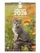 Finocam Wandkalender 2026, 25 x 40 cm, maandoverzicht januari - december 2026 + sep - december 2025 (4 maanden), kalender 2026, kattenfoto's - Catalaans