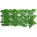 Maison Exclusive - Pare-vue de balcon avec feuilles vert 300x100 cm