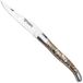 Laguiole en Aubrac Abalone Shell, Brushed Stainless Steel, zakmes, 12 cm