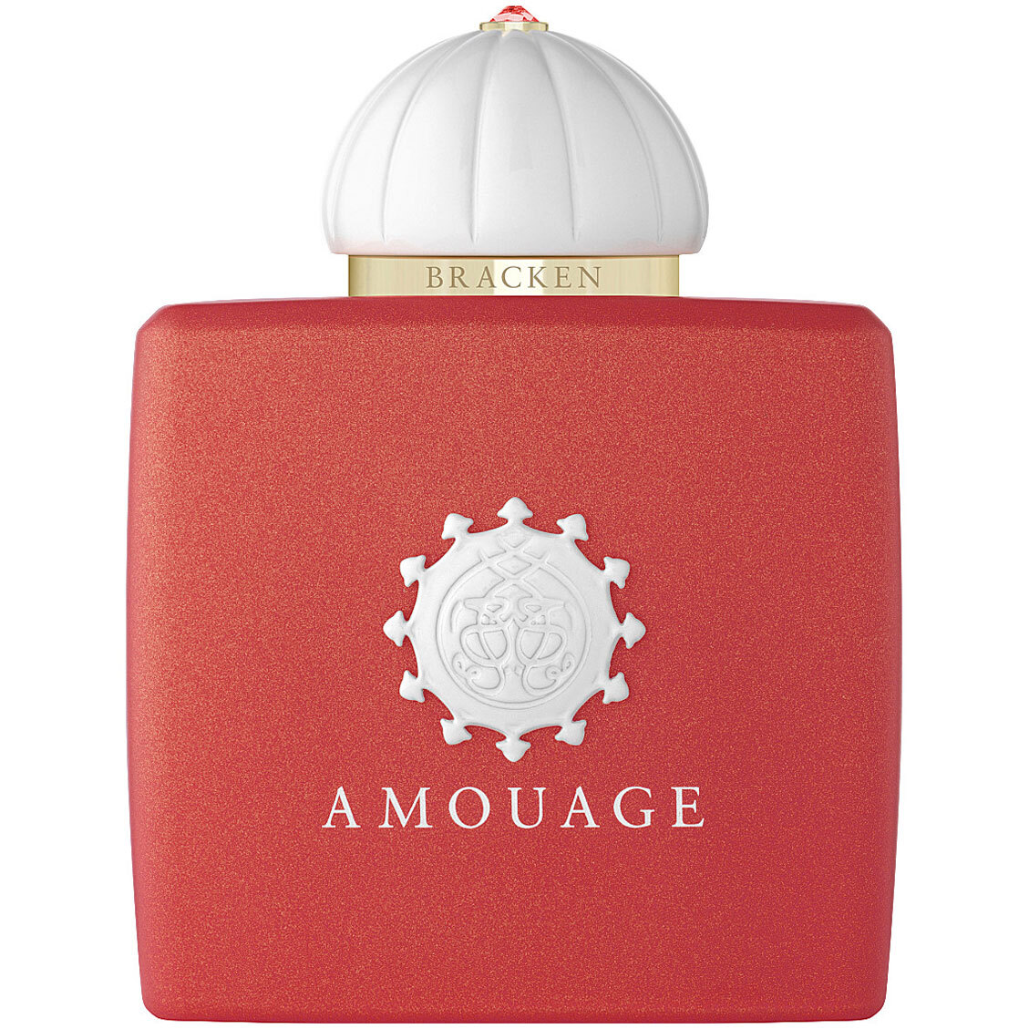 Amouage Bracken eau de parfum / 100 ml / dames