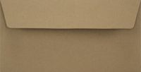 Netuno Ecologische bruine enveloppen DL - 110 x 220 mm - 50 stuks - HK zelfklevend met plakstrip - 100 gram - Eko Design