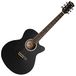 TIGER ACG1-BK-SM akoestische gitaar full-size small body - matzwart