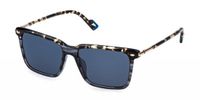 SUNGLASSES Sting SST560V Grigio striato lucido 56/17/145 MAN Zonnebrillen