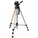 Camlink TP2100 - Statief - Brons