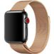 123watches.nl Apple Watch Bandje Fiore - Milanese - Rose Goud