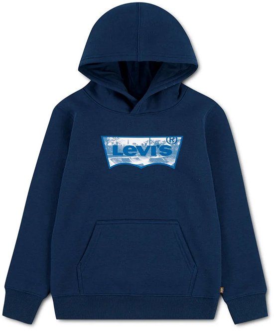 Levi's Kids Skate Park Batwing Hoodie Blauw
