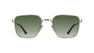Lacoste L289S heren Sunglasses