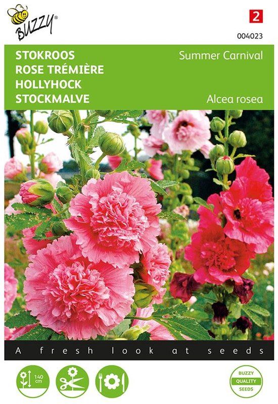Buzzy - Stokroos Summer Carnival (Alcea rosea)